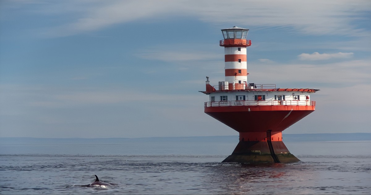 MITIGARE L’IMPATTO DEL RUMORE SOTTOMARINO PER SALVARE LA BIODIVERSITÀ DEGLI OCEANI E DEI MARI